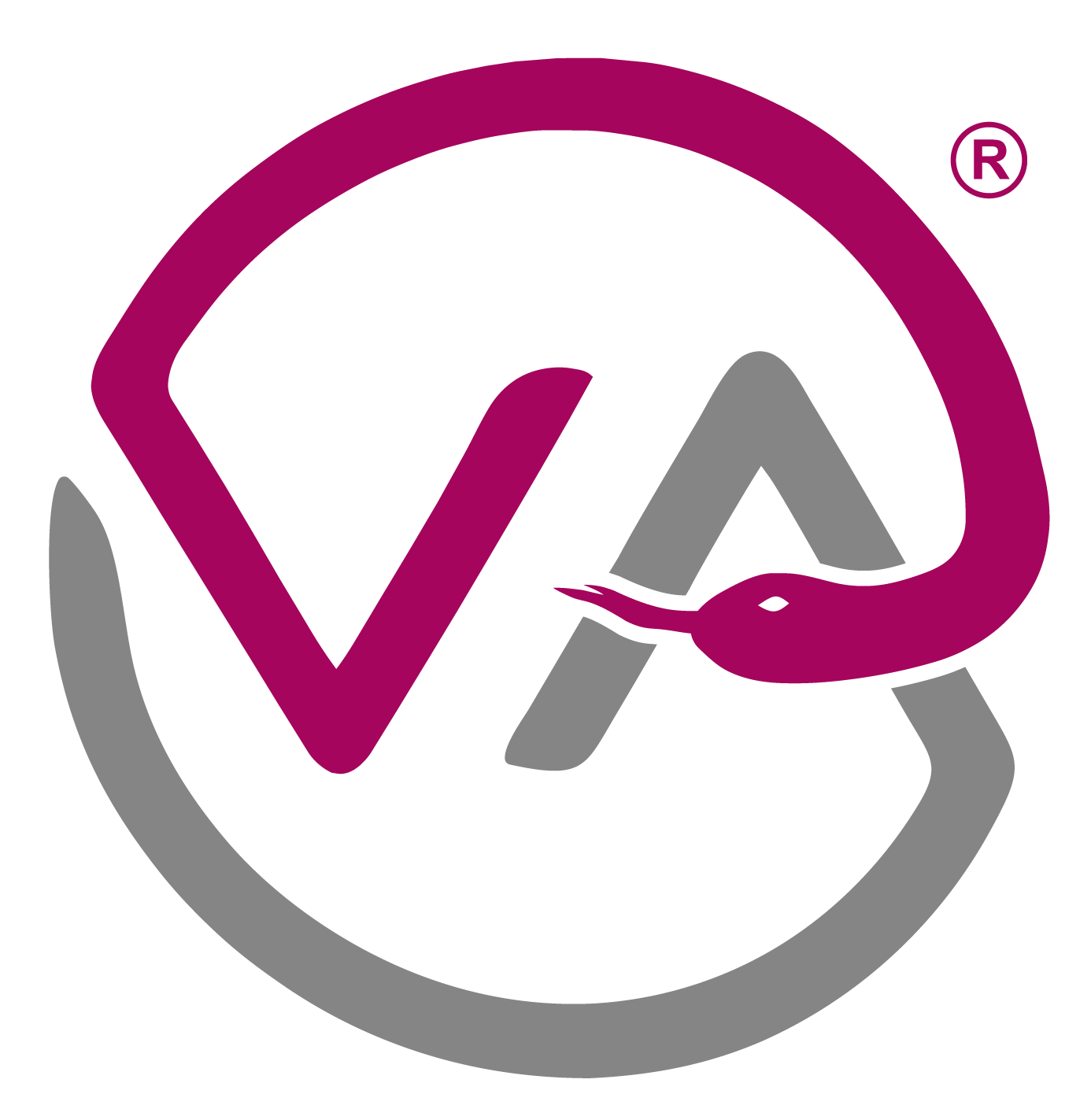 VetAcademy