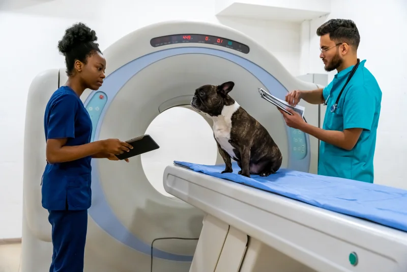 CT/MRI