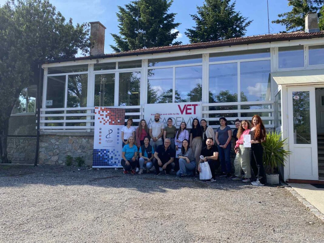 VetAcademy практика